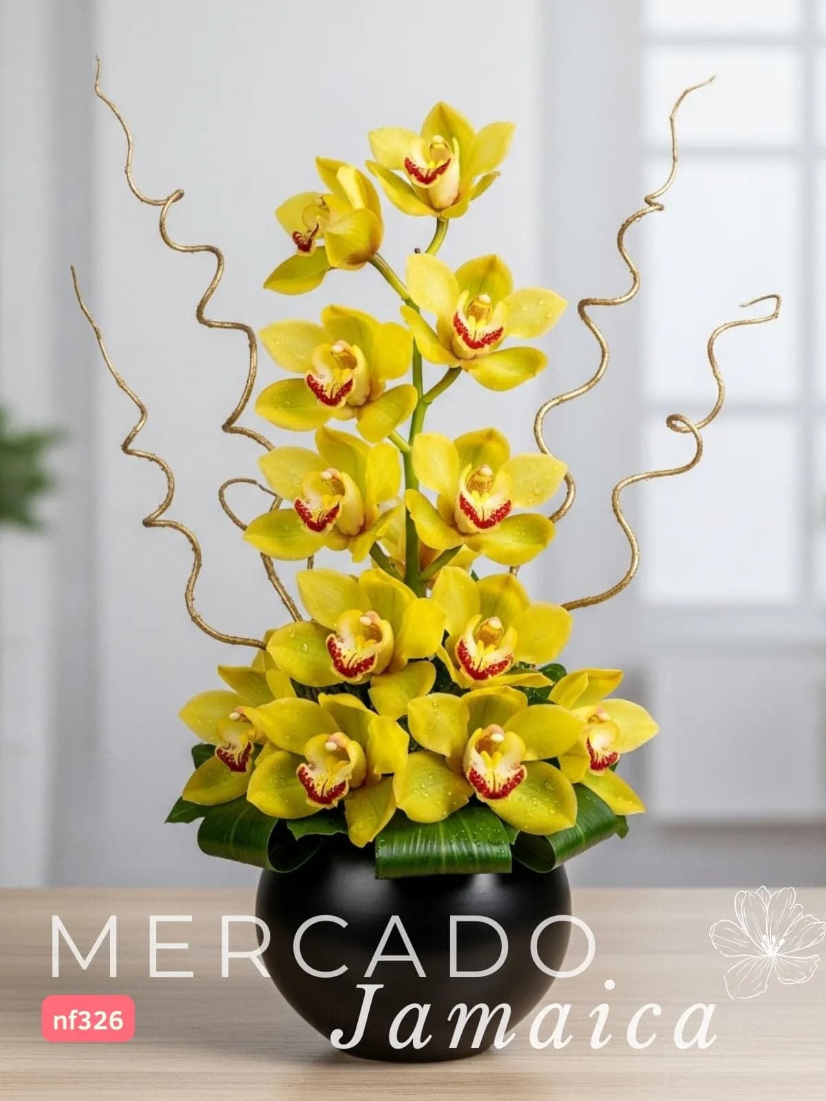 Orquídea Cymbidium Amarilla con Curly CDMX