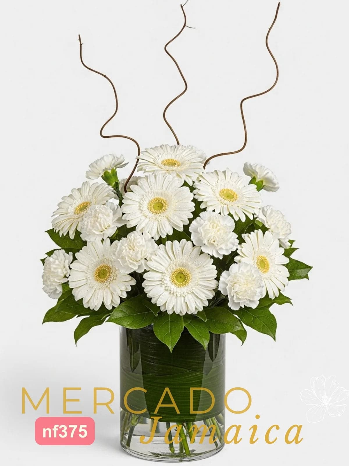 10 Gerberas y Claveles Blancos con Curly CDMX