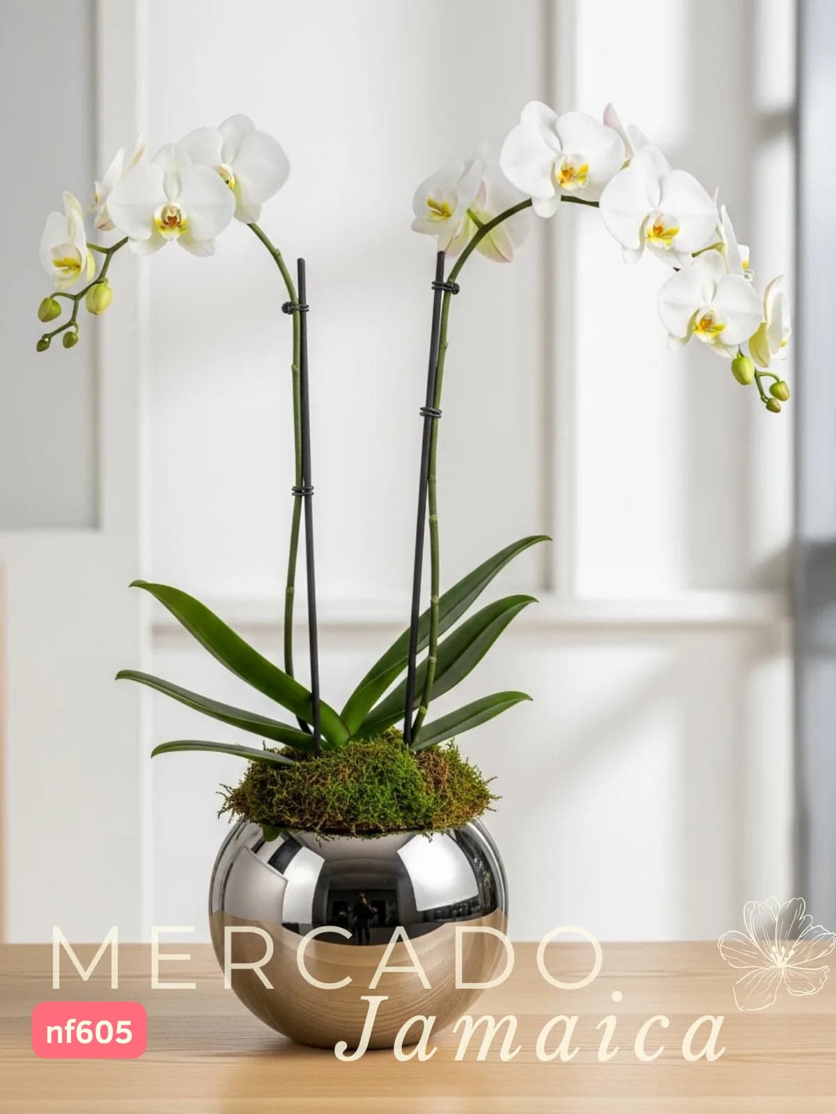 Orquídea Phalaenopsis en Florero Plateado CDMX