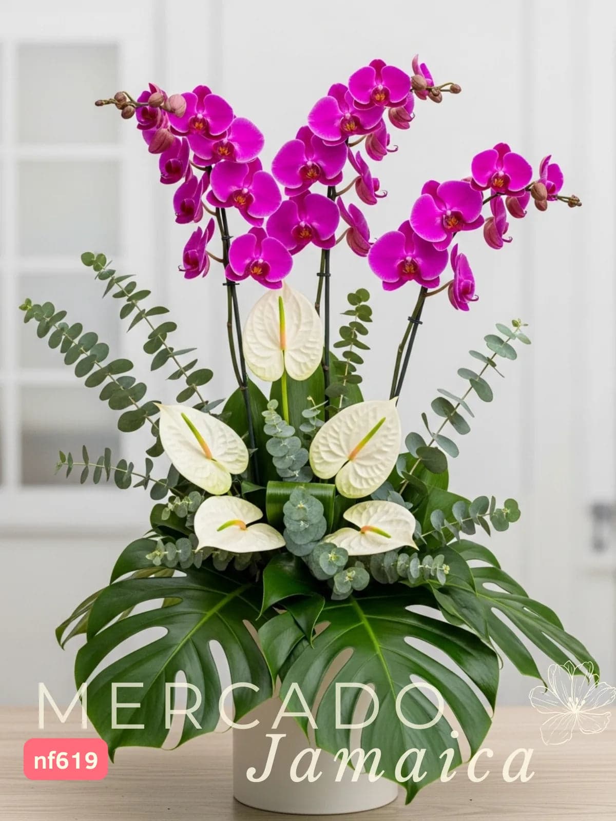Orquídeas Phalaenopsis y Anturios Blancos CDMX