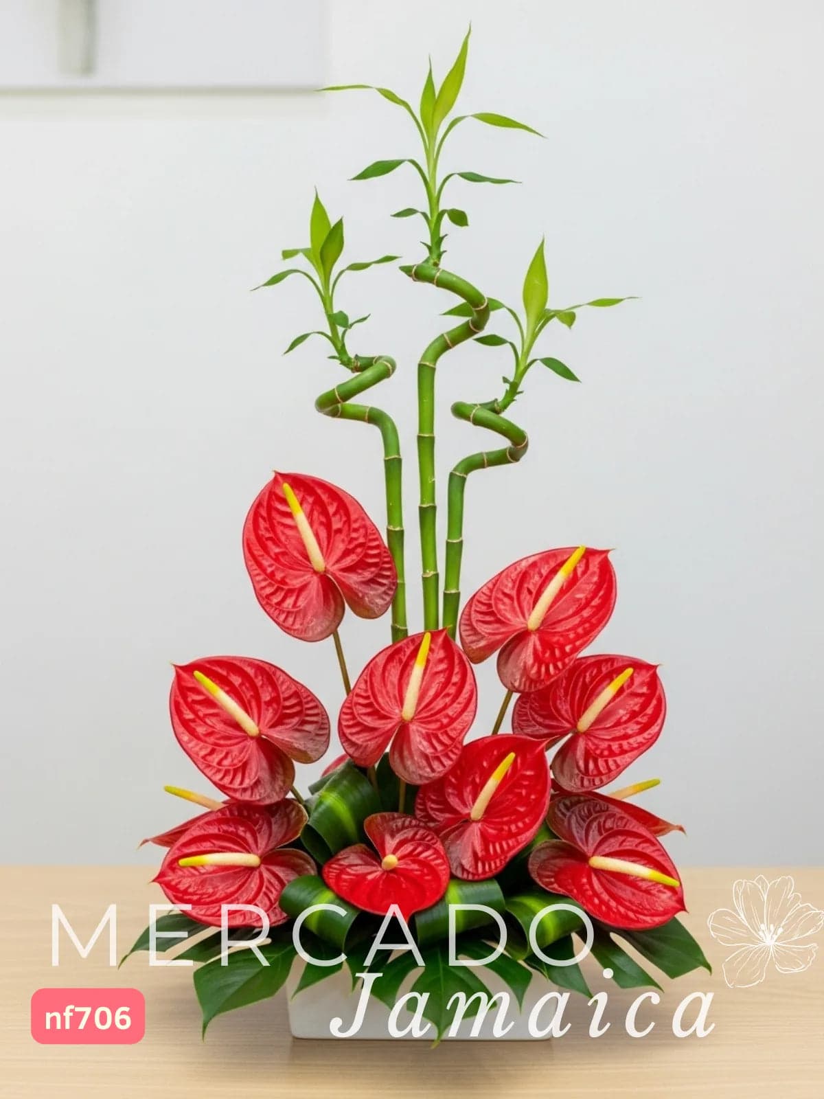 Arreglo 9 Anturios Rojos con Bamboo Curly CDMX
