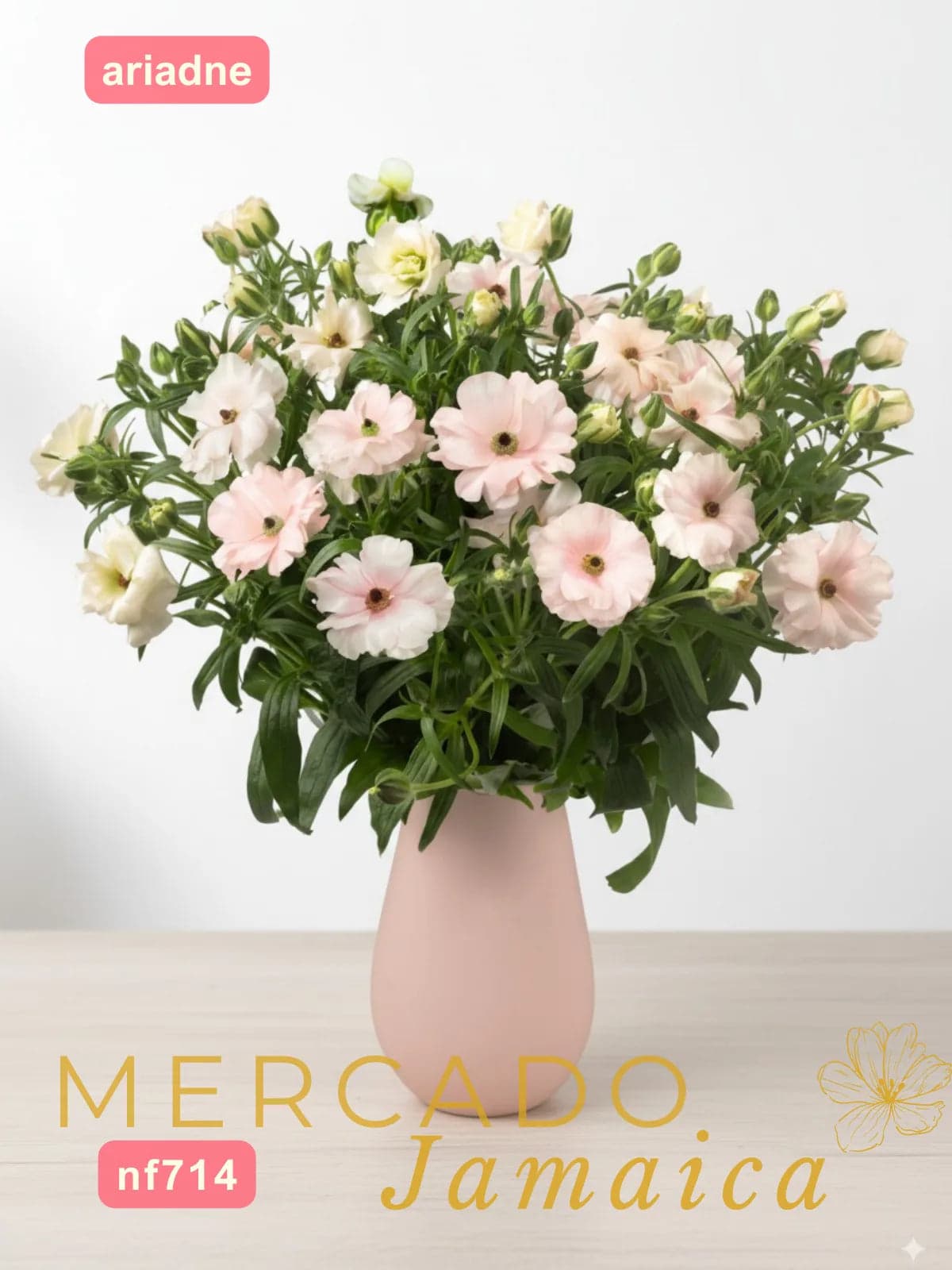Ranúnculos Mariposa Ariadne® Rosa en Jarra CDMX