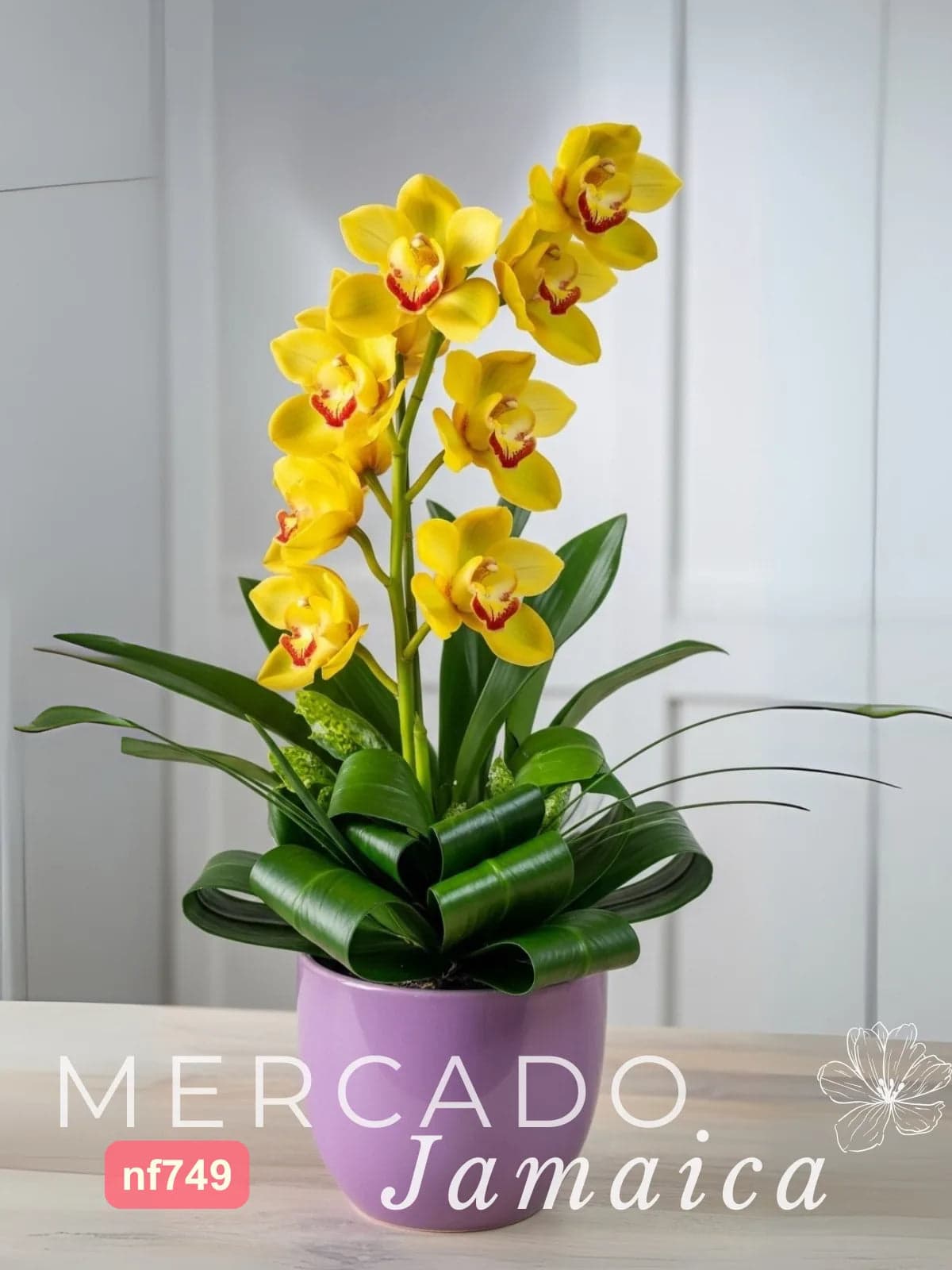 Orquídea Cymbidium Amarilla en Tazón CDMX