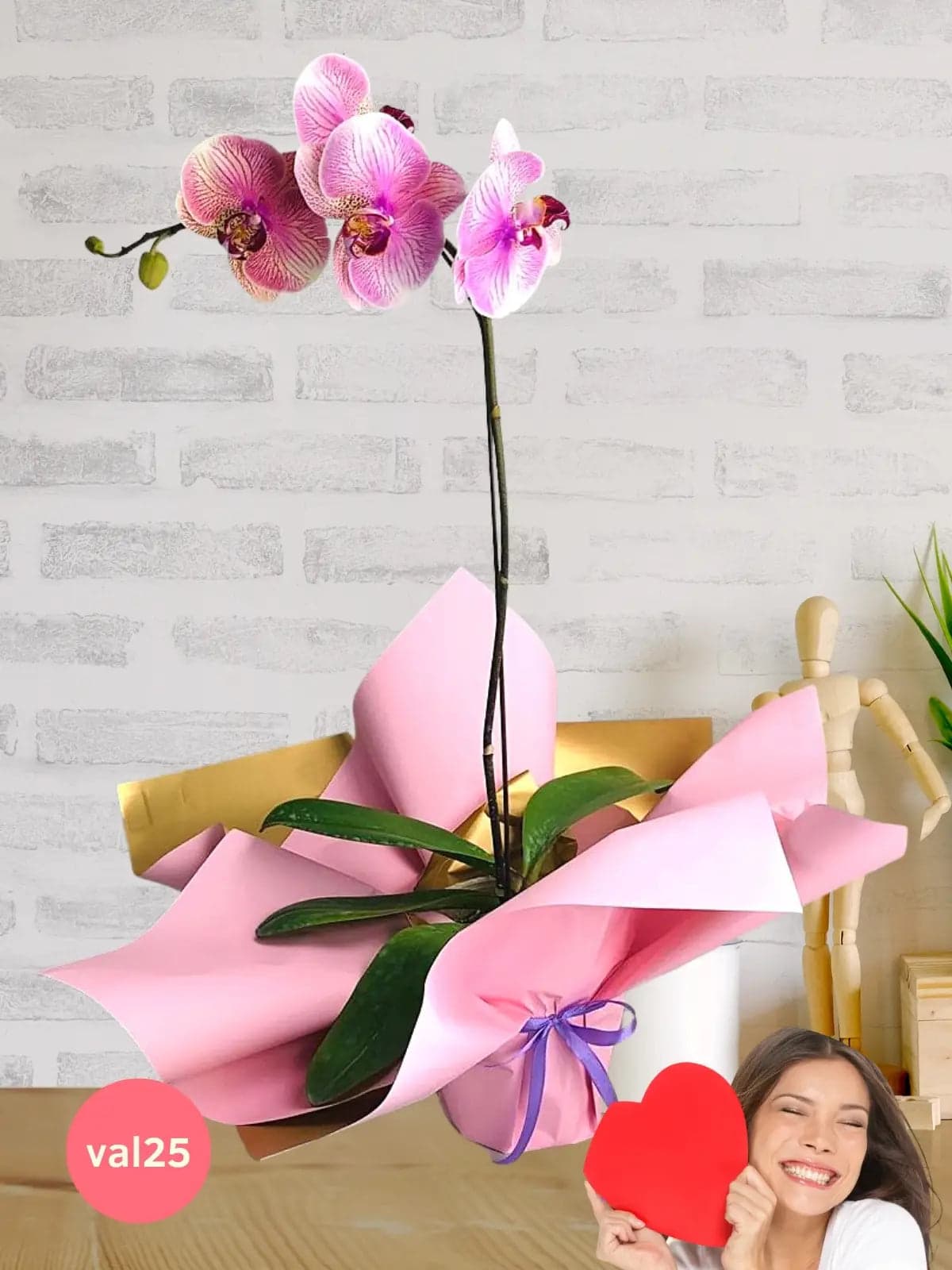 Orquídea Phalaenopsis Rosa San Valentín CDMX