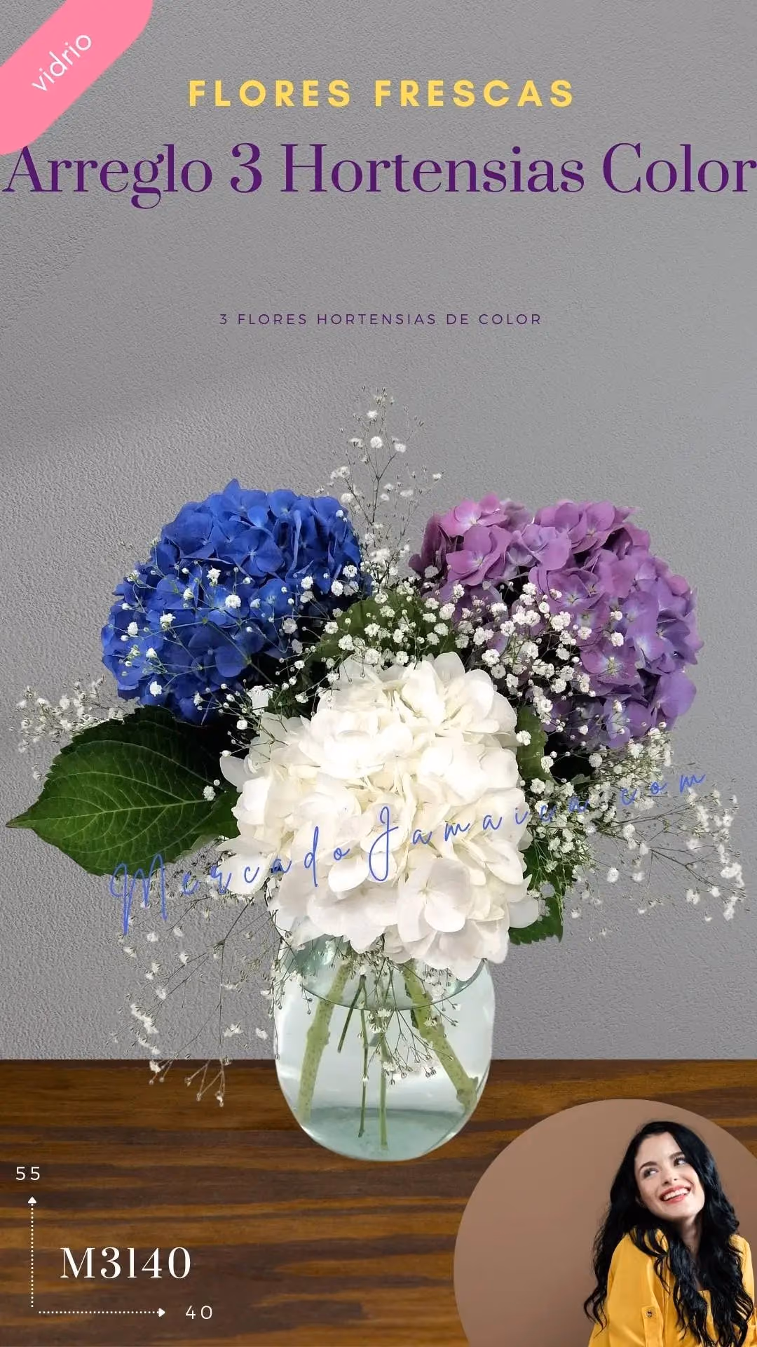Arreglo 3 Hortensias Azul, Lila y Blanco CDMX