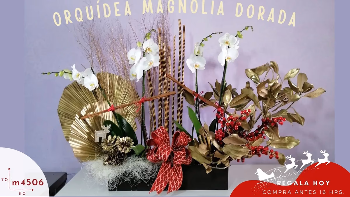 Arreglo Navidad Orquídeas Blancas y Magnolia CDMX