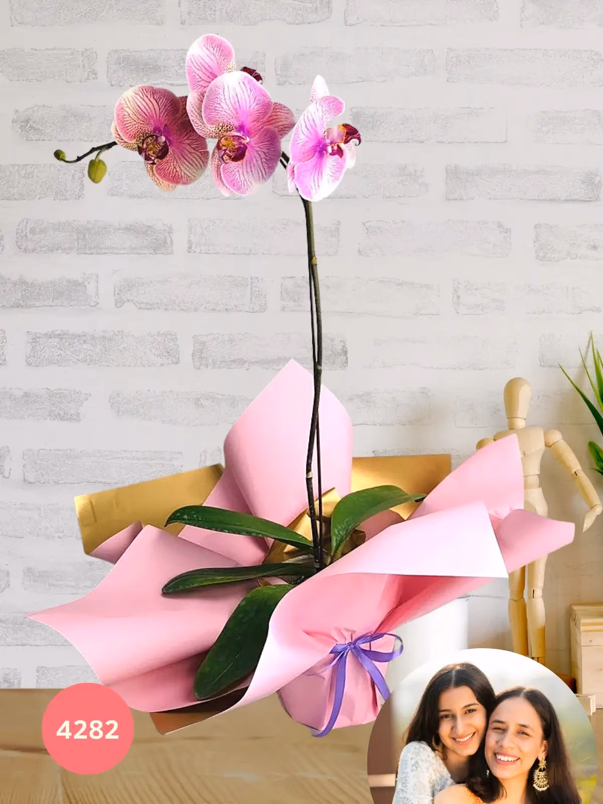 Arreglo Orquídea Phalaenopsis 2 Tallos · Día de Mamá