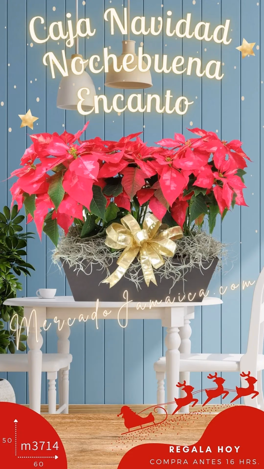 Caja Navidad 3 Nochebuenas con Piñas CDMX