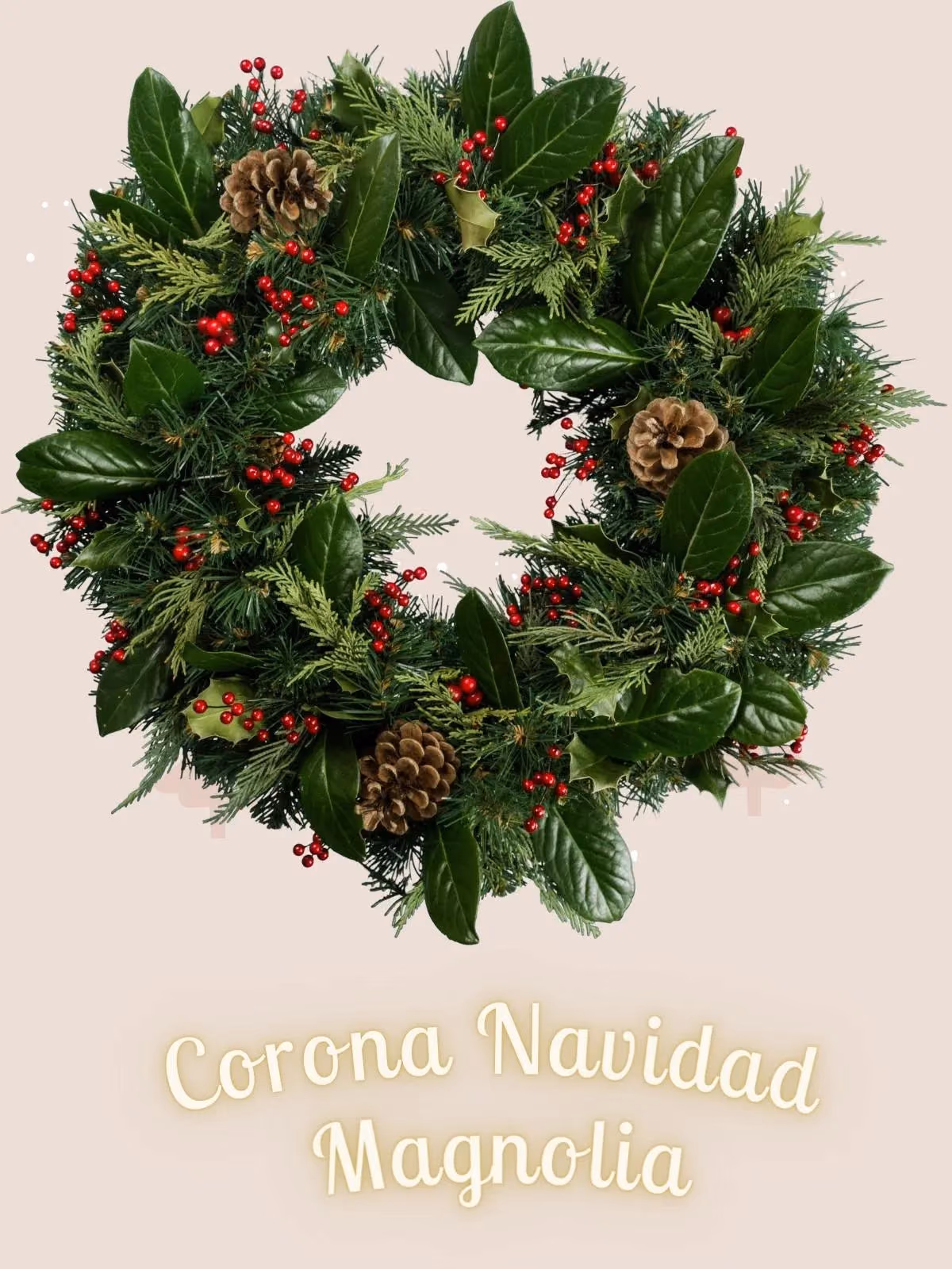 Corona Navideña Magnolia y Pino | CDMX a Domicilio