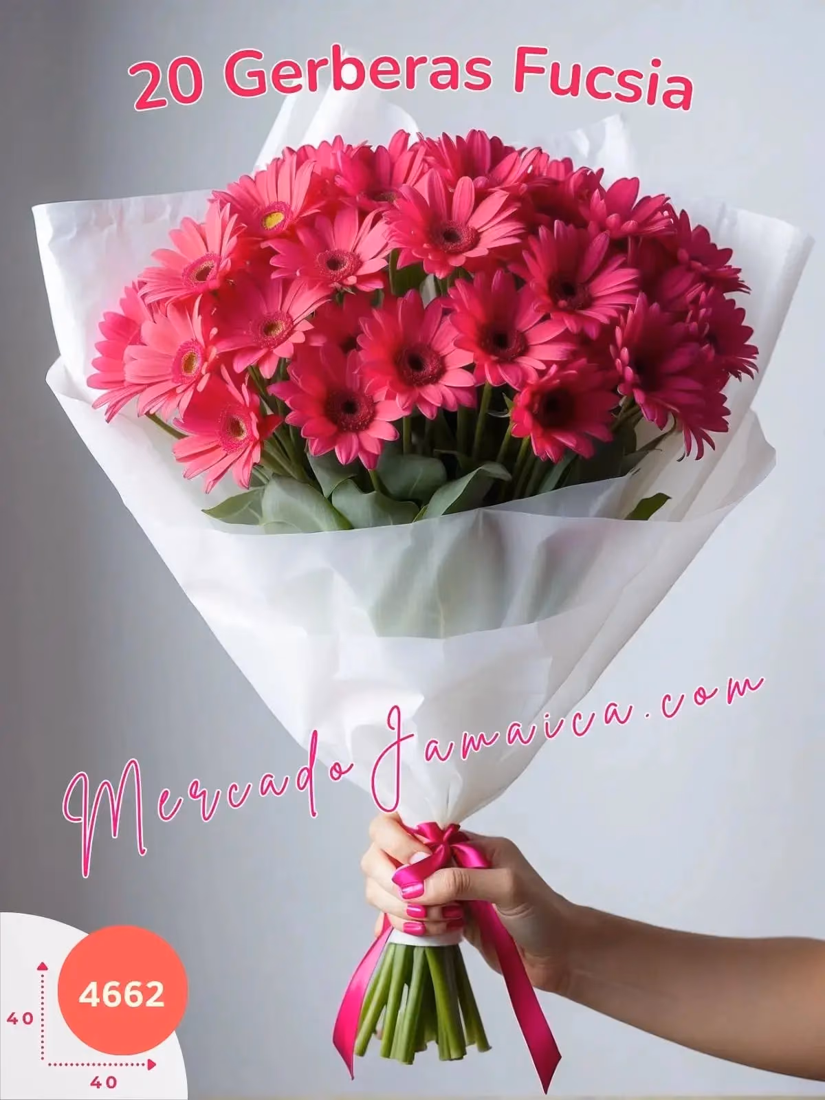 Ramo 20 Gerberas Fucsia a Domicilio CDMX