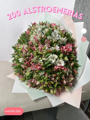 200 Alstroemerias Bello Encanto
