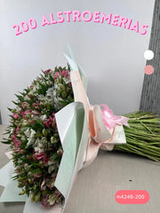 200 Alstroemerias Bello Encanto