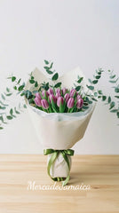 20 Tulipanes Lila