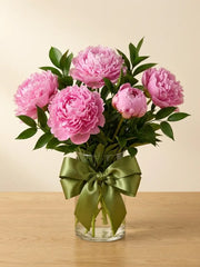 5 Peonías rosa Alexander Flemming