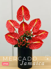 Encanto Floral Anturium