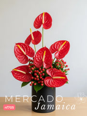 Encanto Floral Anturium
