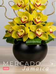 Sol y Elegancia: Orquídea Amarilla con Varas de Curly