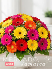 20 Gerberas Super Color