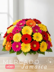 20 Gerberas Super Color