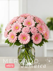 20 Gerberas Rosa Color