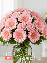 20 Gerberas Rosa Color
