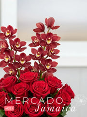 Delicada Fusión: Orquídea Cymbidium Rosa y 18 Rosas Rosa