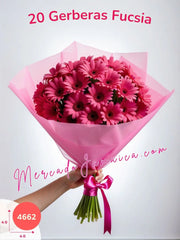 Explosión Fucsia: Ramo de 20 Gerberas Fucsia México