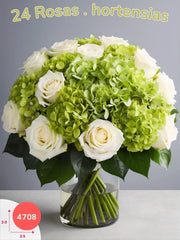 Susurro de Elegancia: 24 Rosas Blancas y Hortensias México