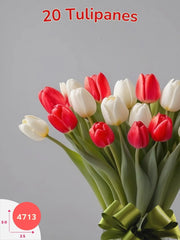 Contraste Elegante: 20 Tulipanes en Blanco y Rojo México