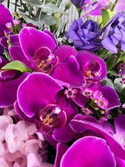 Canasta de Flores Hortensias Lila con Orquídeas Lila