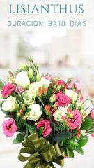 Arreglo Floral