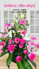 Arreglo con Gerberas y Lilies Alegra !