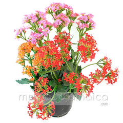 Arreglo Floral