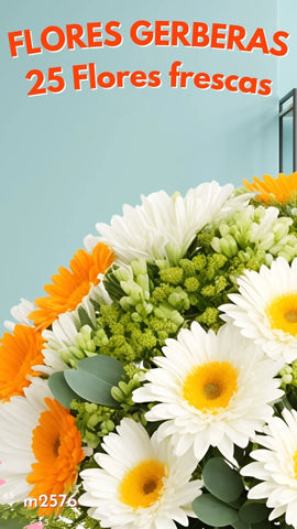 25 Gerberas Armonía Blanco Naranja