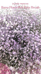 Ramo Flores Pink Baby Breath