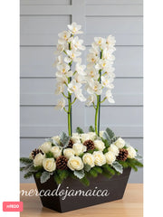 Navidad con orquídeas cymbidium