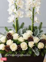 Navidad con orquídeas cymbidium