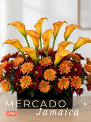 Calla de Octubre