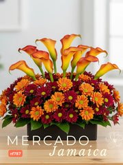 Calla de Octubre