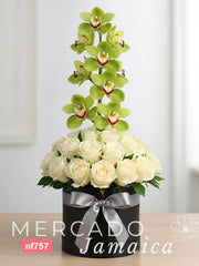 Cymbidium Verde y Rosas en Armonía