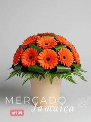 Cubetas Gerberas Naranja