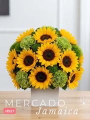 Girasoles Sol con Delivery