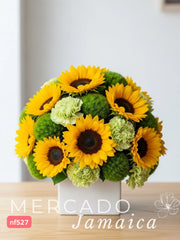 Girasoles Sol con Delivery