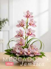 Arreglo de Lujo Serenidad Zen con Orquídea Cymbidium