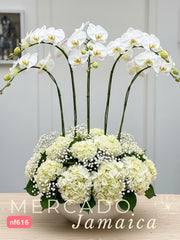 Delirio floral con Orquídeas