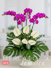 Opulencia tropical con Orquídeas