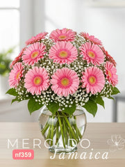 20 Gerberas en Jarrón