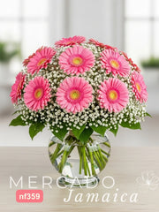 20 Gerberas en Jarrón