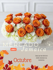 Encanto Rosas y Hortensias