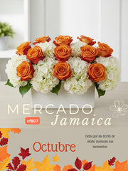 Encanto Rosas y Hortensias